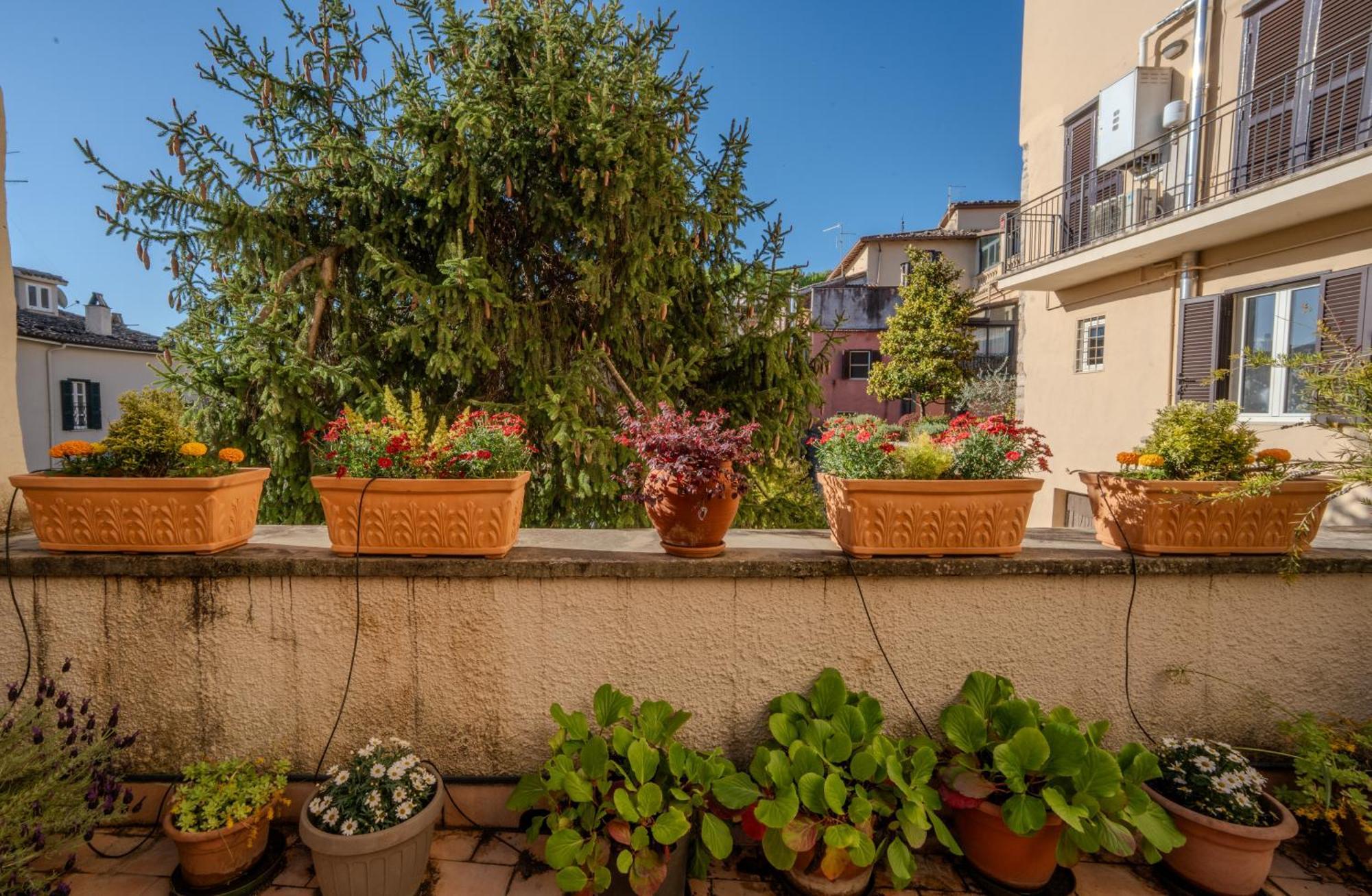 "Le Caraffe" Alatri - Alloggio Per Uso Turistico Exterior foto